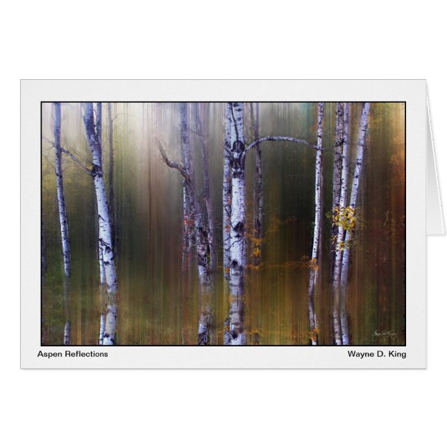 Aspen Reflections (Voorkant Horizontaal)