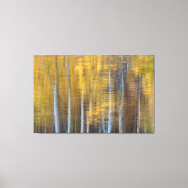 Aspen Reflections Canvas Afdruk