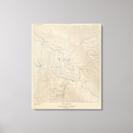 Aspen Special Canvas Afdruk (Voorkant)