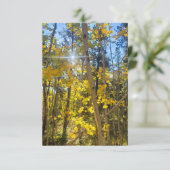 Aspen Sun Kaart (Staand voorkant)