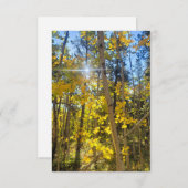 Aspen Sun Kaart (Voorkant / Achterkant)