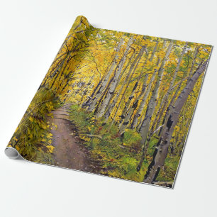 Aspen Tree Forest in het najaar Cadeaupapier