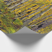 Aspen Tree Forest in het najaar Cadeaupapier (Hoek)