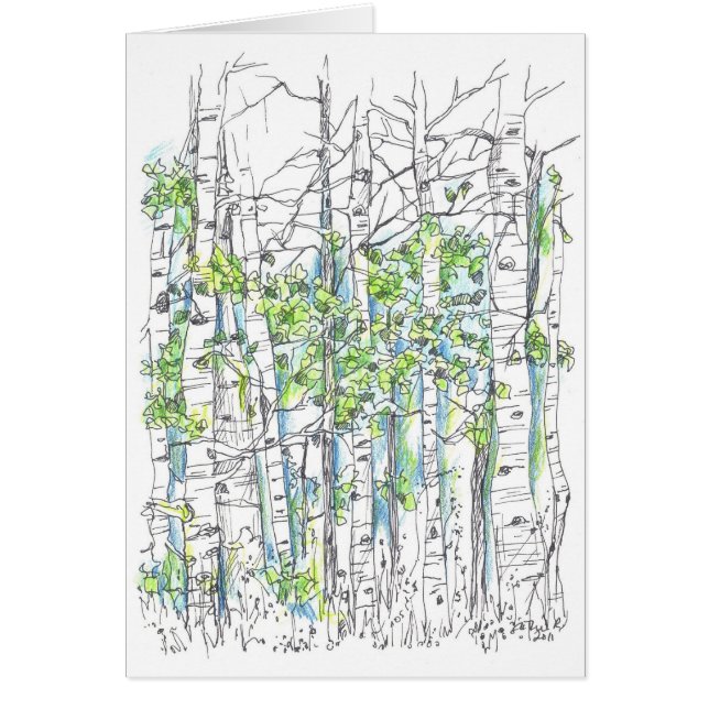 Aspen Tree Grove Inkttekening Lege Kaart (Voorkant)