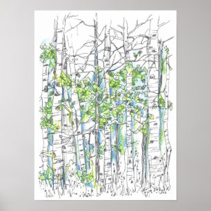Aspen Tree Grove Pen en inkttekening Poster
