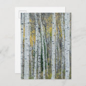 Aspen Tree Trunks | Aspen, Colorado Briefkaart (Voorkant / Achterkant)
