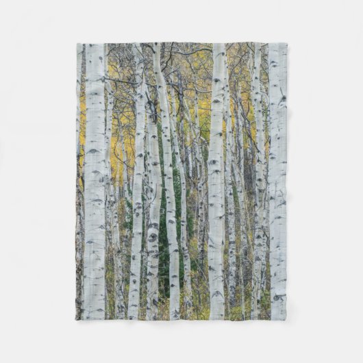 Aspen Tree Trunks | Aspen, Colorado Fleece Deken (Voorkant)