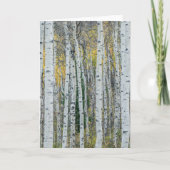 Aspen Tree Trunks | Aspen, Colorado Kaart (Voorkant)