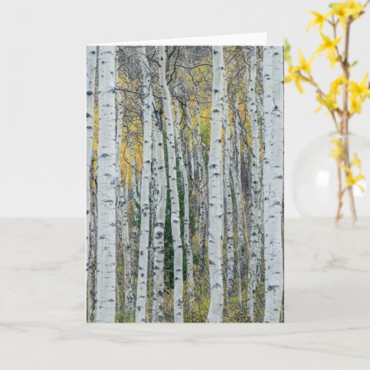 Aspen Tree Trunks | Aspen, Colorado Kaart (Gele Bloem)