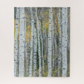 Aspen Tree Trunks | Aspen, Colorado Legpuzzel (Verticaal)