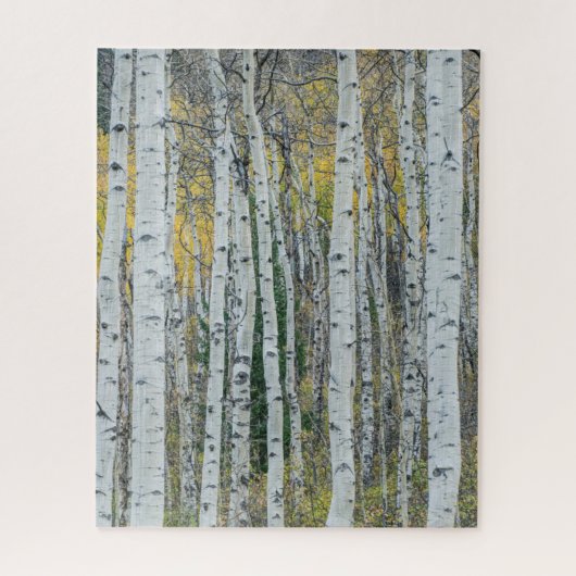 Aspen Tree Trunks | Aspen, Colorado Legpuzzel (Verticaal)
