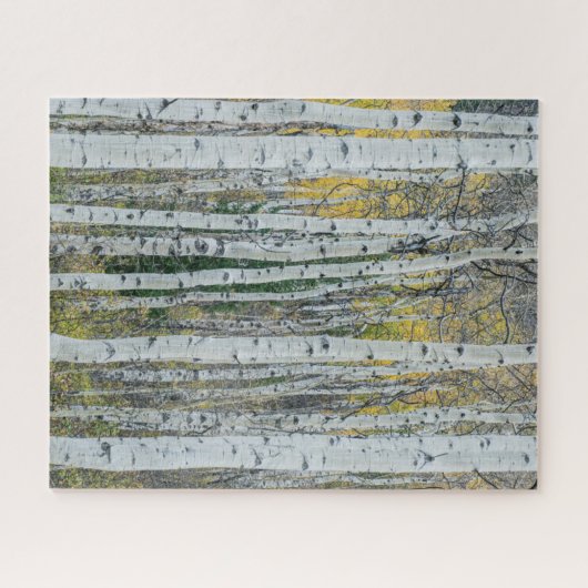 Aspen Tree Trunks | Aspen, Colorado Legpuzzel (Horizontaal)