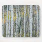 Aspen Tree Trunks | Aspen, Colorado Muismat (Voorkant)