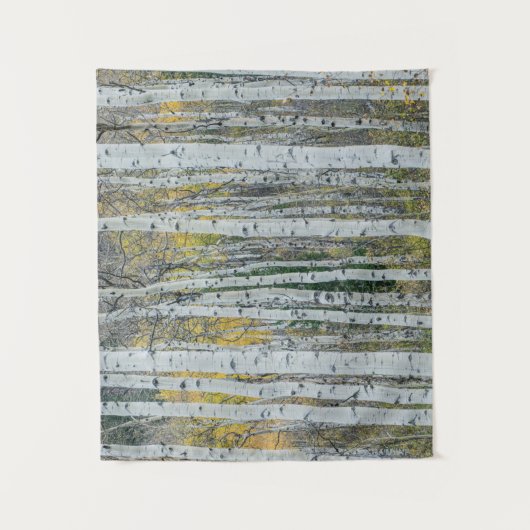 Aspen Tree Trunks | Aspen, Colorado Wandkleed (Voorkant)