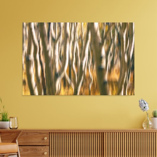 Aspen Trees Abstract Canvas Afdruk (Insitu (Woonkamer))
