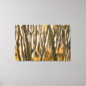 Aspen Trees Abstract Canvas Afdruk (Voorkant)