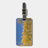 Aspen Trees, Colorado Bagagelabel (Voorkant verticaal)