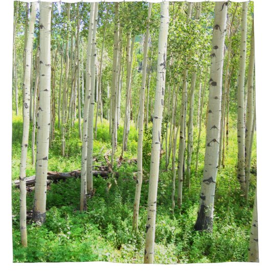 Aspen Trees Douchegordijn (Voorkant)