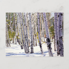 Aspen Trees in het bos Briefkaart