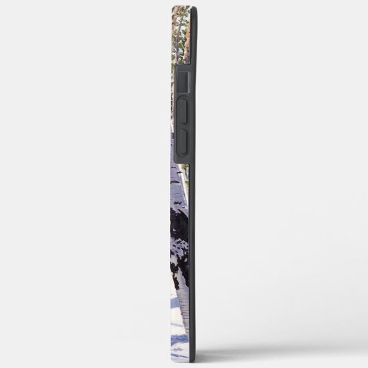 Aspen Trees in het bos Case-Mate iPhone Case (Achterkant / Links)