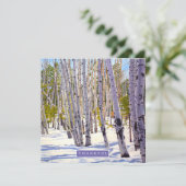 Aspen Trees in het bos Feestdagenkaart (Staand voorkant)