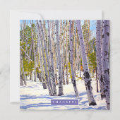 Aspen Trees in het bos Feestdagenkaart (Voorkant)