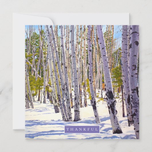 Aspen Trees in het bos Feestdagenkaart (Voorkant)
