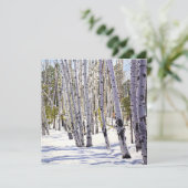Aspen Trees in het bos Kaart (Staand voorkant)