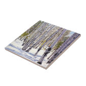 Aspen Trees in het bos Tegeltje (Zijkant)