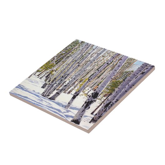 Aspen Trees in het bos Tegeltje (Zijkant)