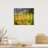 Aspen Trees in het najaar in de Rockies Poster (Keuken)