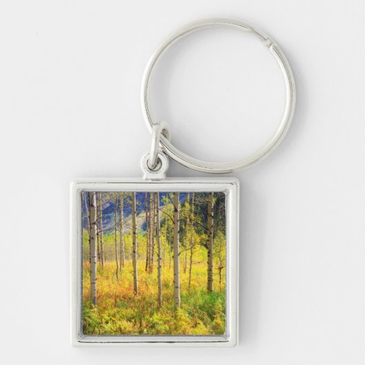 Aspen Trees in het najaar in de Rockies Sleutelhanger (Voorkant)