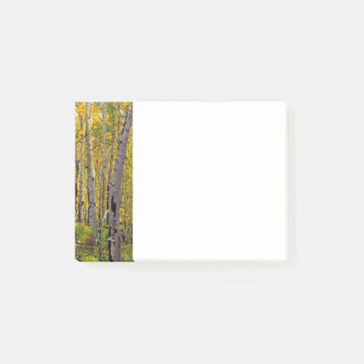 Aspen Trees in The Woodland Post-it® Notes (Voorkant)