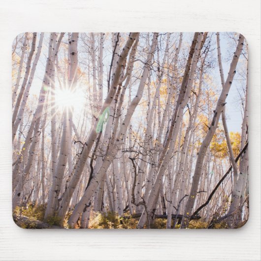 Aspen Trees Muismat (Voorkant)