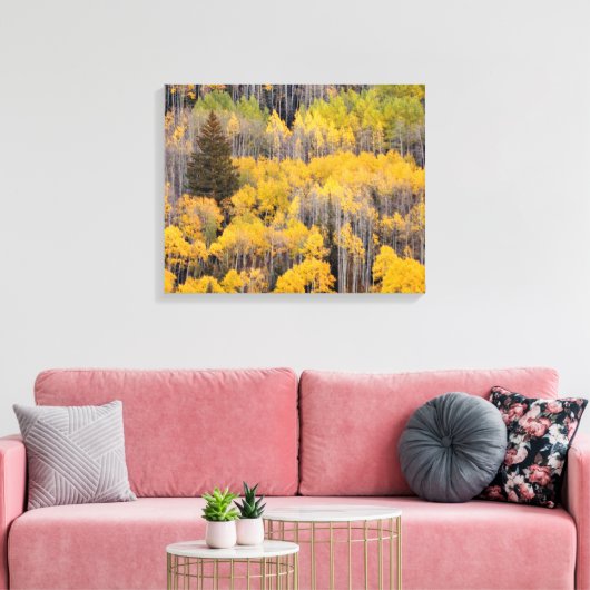 Aspen Trees | Nationaal bos van de witte rivier Canvas Afdruk (Insitu (Woonkamer))