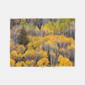 Aspen Trees | Nationaal bos van de witte rivier Fleece Deken (Voorkant (Horizontaal))