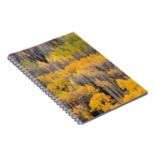 Aspen Trees | Nationaal bos van de witte rivier Notitieboek (Rechterzijde)