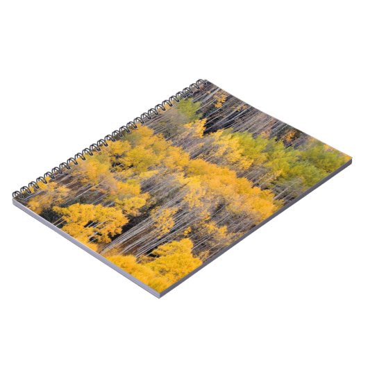 Aspen Trees | Nationaal bos van de witte rivier Notitieboek (Linkerzijde)