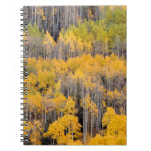 Aspen Trees | Nationaal bos van de witte rivier Notitieboek (Voorkant)