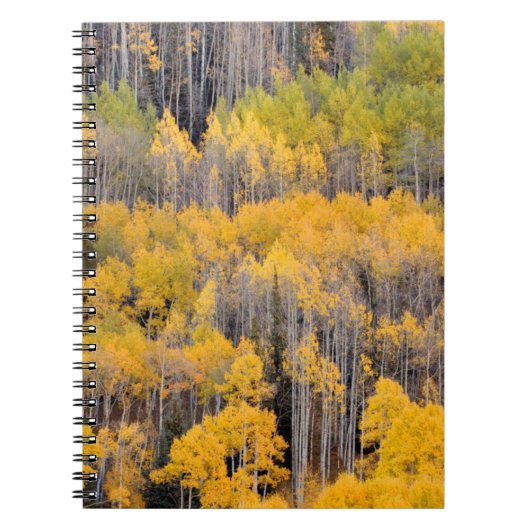 Aspen Trees | Nationaal bos van de witte rivier Notitieboek (Voorkant)