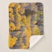 Aspen Trees | Nationaal bos van de witte rivier Sherpa Deken (Voorkant)