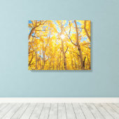 Aspen Trees | Sierra Nevada bergen, CA Canvas Afdruk (Insitu (Houten vloer))
