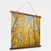 Aspen Trees | Sierra Nevada bergen, CA Hangend Wandkleed (Gebogen)
