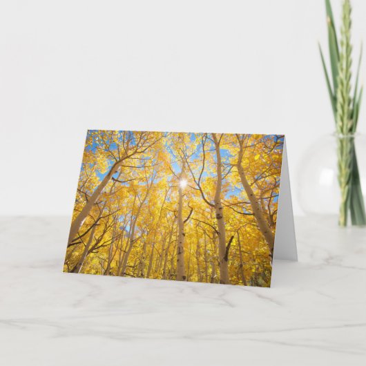 Aspen Trees | Sierra Nevada bergen, CA Kaart (Voorkant)