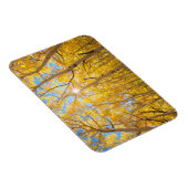 Aspen Trees | Sierra Nevada bergen, CA Magneet (Rechterzijde)