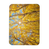 Aspen Trees | Sierra Nevada bergen, CA Magneet (Verticaal)