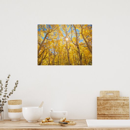 Aspen Trees | Sierra Nevada bergen, CA Poster (Keuken)