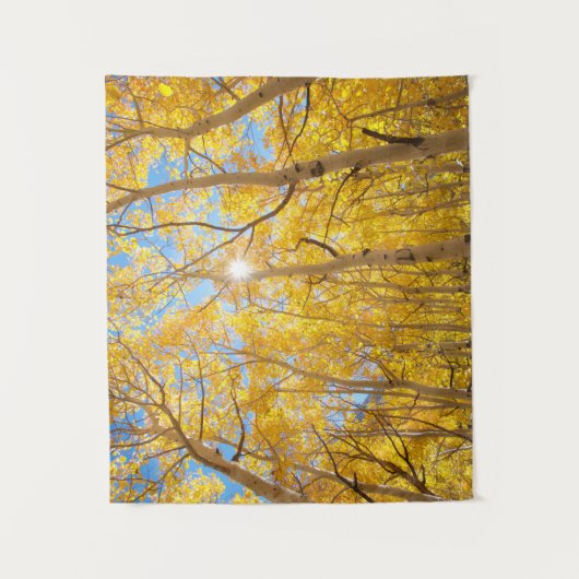 Aspen Trees | Sierra Nevada bergen, CA Wandkleed (Voorkant)