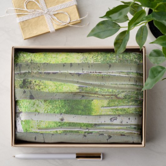 Aspen Trees Tissuepapier (Geschenk)