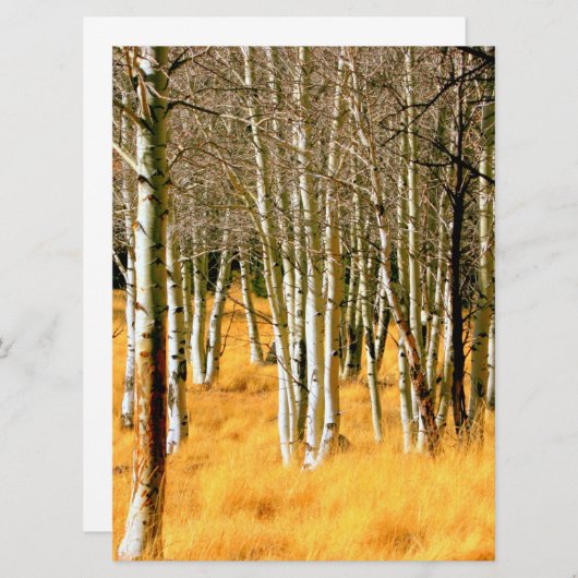 aspen tress-uitnodigingskaart kaart (Voorkant / Achterkant)